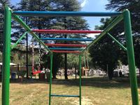 Double Swing Monkey Bars